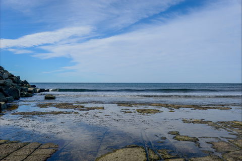 Gondwana Coast Fossil Walk - Accommodation VIC 1