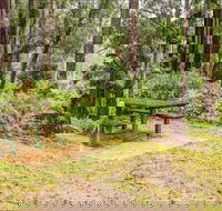 Goodenia Rainforest picnic area - Accommodation VIC