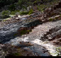Halls Falls - Accommodation VIC