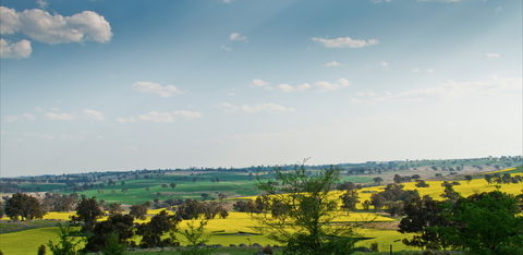 Harden Murrumburrah - Accommodation VIC 1