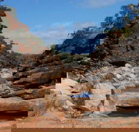 Homestead Gorge trail - Accommodation VIC