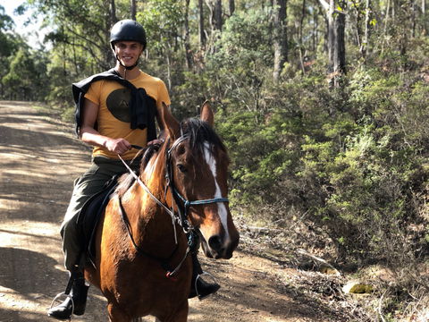 Horse Riding Tasmania - Accommodation VIC 2