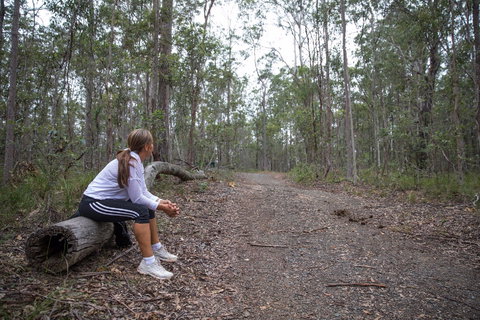 Ironbark Ridge And Spotted Gum Walking Trails - Accommodation VIC 1