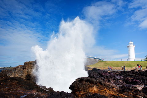 Kiama Blowhole - Accommodation VIC 0