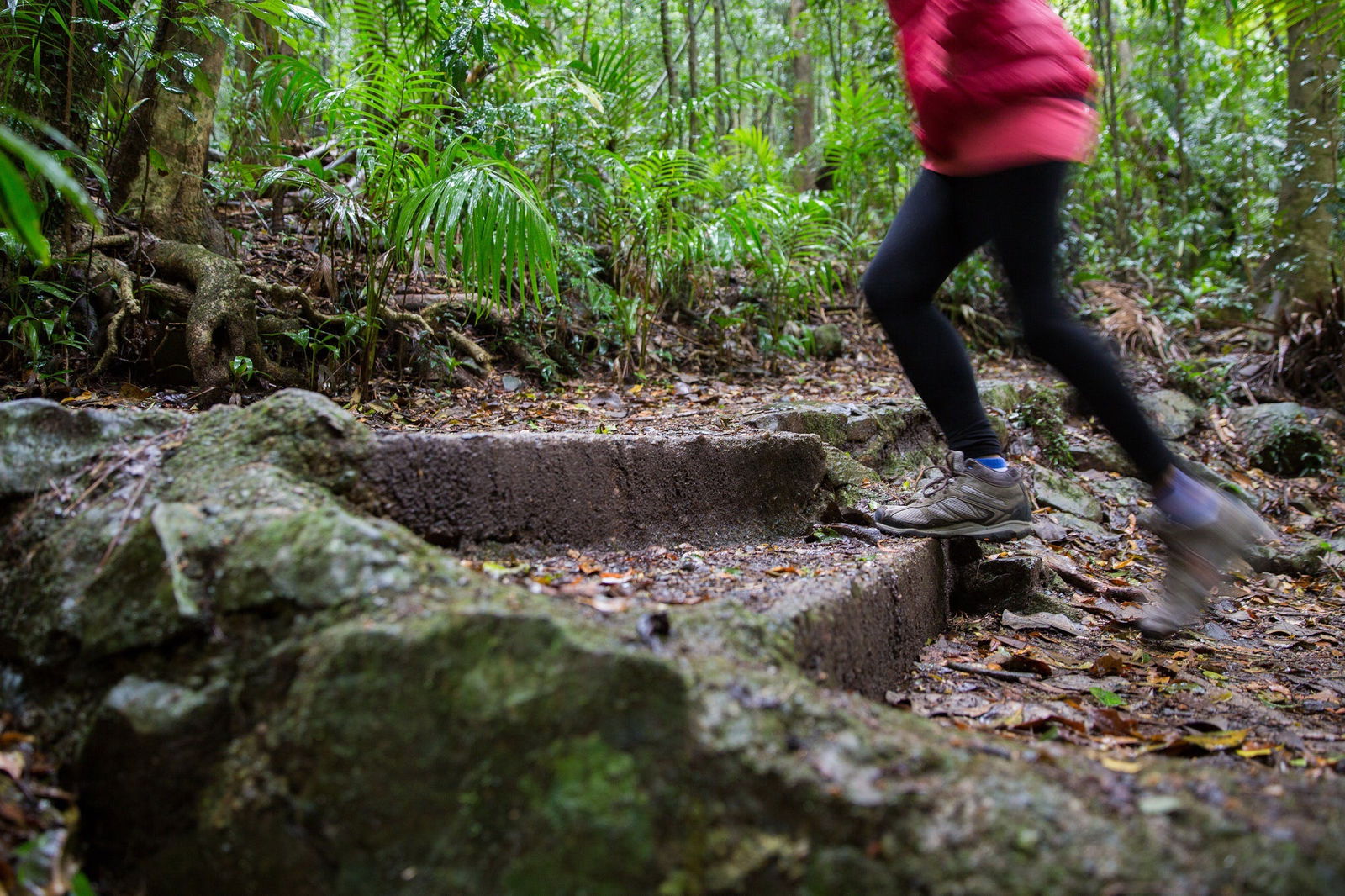 Mount Glorious QLD Accommodation VIC