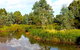 Mansfield Mullum Wetlands - thumb 0
