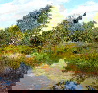 Mansfield Mullum Wetlands - Accommodation VIC