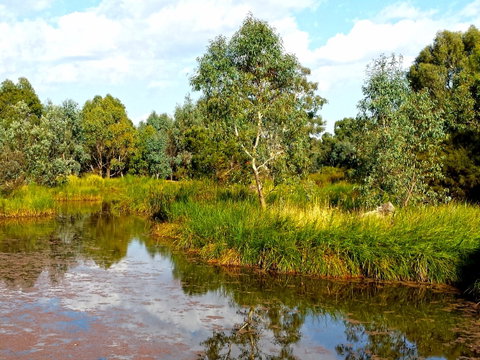 Mansfield Mullum Wetlands - Accommodation VIC 0