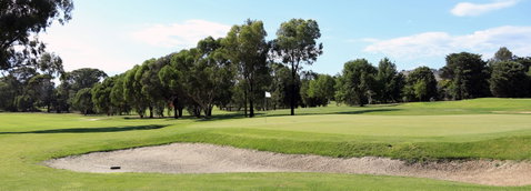 Mansfield Golf Club - Accommodation VIC 0