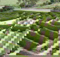 Mintaro Maze - Accommodation VIC