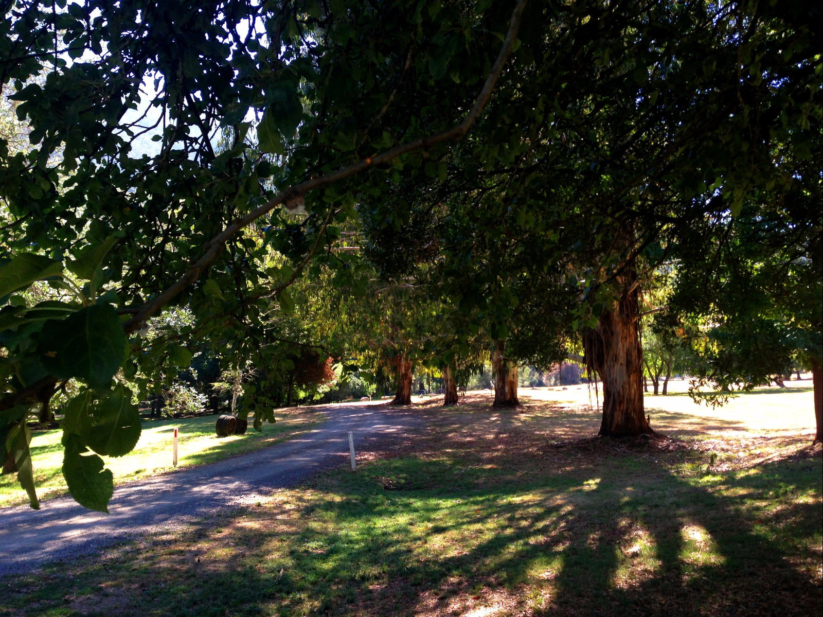 Mirimbah VIC Accommodation VIC