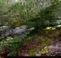 Mongarlowe River picnic area - Accommodation VIC