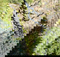 Morans Falls track Lamington National Park - Accommodation VIC