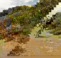 Mountain Biking Trails - Accommodation VIC