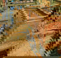 Mountain Maid gold mine - Accommodation VIC