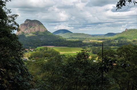 Mount Ngungun Summit Walking Track, Glass House Mountains National Park - Accommodation VIC 1
