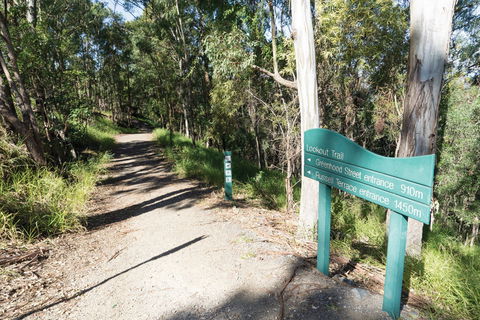 Mt Coot-tha Tourist Drive - Accommodation VIC 0