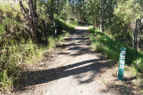 Mt Coot-tha Tourist Drive - Accommodation VIC 2