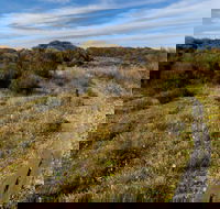 Murramarang Aboriginal Area Walking Track - Accommodation VIC