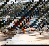 Myponga Reservoir Trail - Accommodation VIC