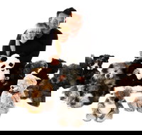 Nanas Teddies and Toys - Accommodation VIC