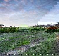 Nature and Foodies Trail - Accommodation VIC