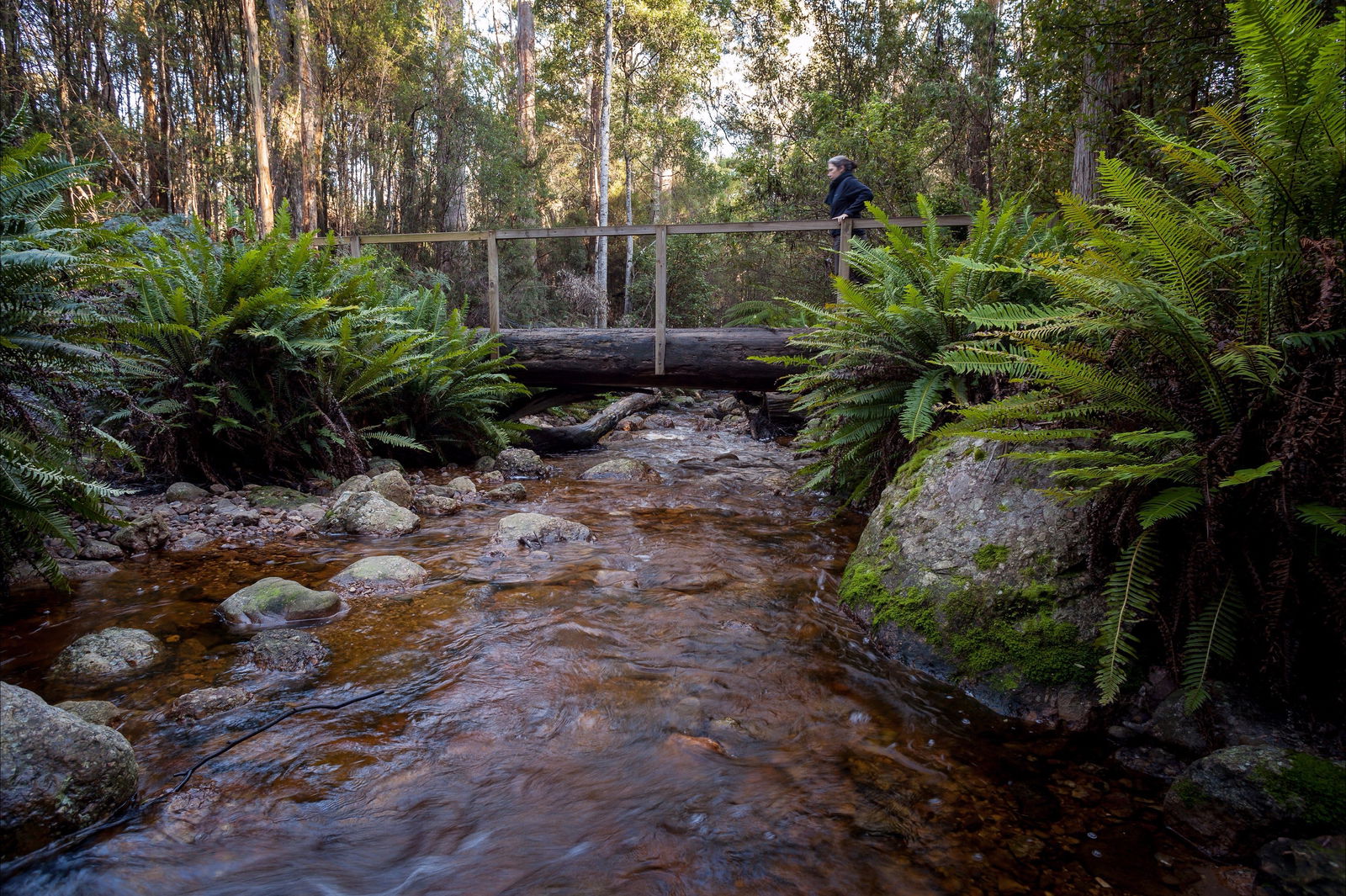 Gowrie Park TAS Accommodation VIC