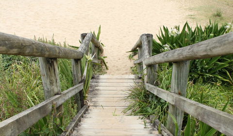 Pebbly Beach To Snake Bay Walking Track - Accommodation VIC 0