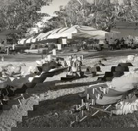 Pioneer Park - Accommodation VIC