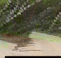 Riverview walking track - Accommodation VIC