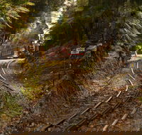 The West Coast Wilderness Way - Accommodation VIC