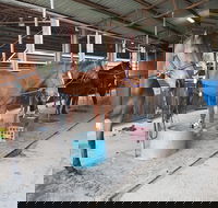 The Equine Club - Accommodation VIC