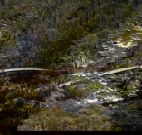 Thredbo Valley Track - Accommodation VIC