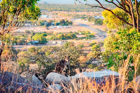 Towers Hill Lookout And Amphitheatre - Accommodation VIC 2