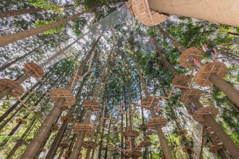 TreeTops Sydney The Hills - Accommodation VIC 1
