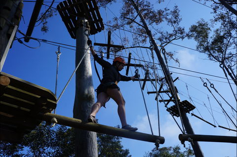 Trees Adventure Nowra Park - Accommodation VIC 0