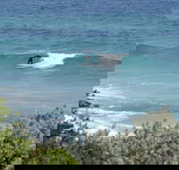 Trigg Island Beach - Accommodation VIC