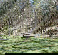 Wallaby Walking Track - Accommodation VIC