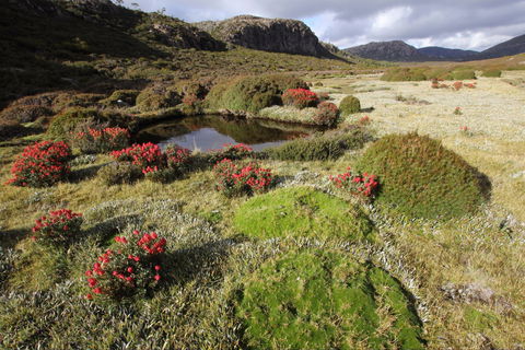 Walls Of Jerusalem National Park - Accommodation VIC 1