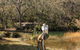 Wild Valley Art Park - thumb 0