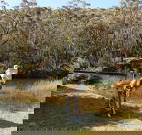 Wild Valley Art Park - Accommodation VIC