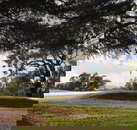 Yea Golf Club - Accommodation VIC