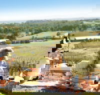 Audrey Wilkinson Vineyard Picnic with Wine Masterclass Tasting - Accommodation VIC