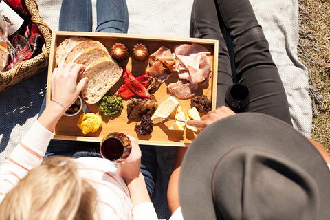 Audrey Wilkinson Vineyard: Picnic With Wine Masterclass Tasting - Accommodation VIC 1