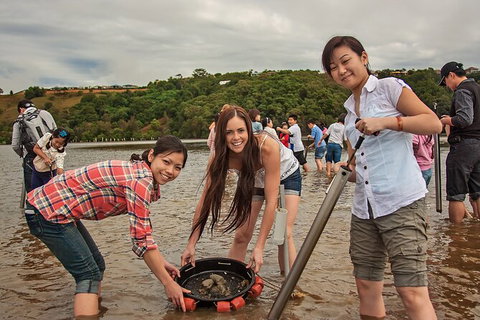 Catch A Crab Tour With Optional Seafood Lunch - Accommodation VIC 6