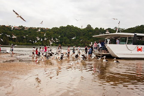 Catch A Crab Tour With Optional Seafood Lunch - Accommodation VIC 1