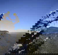 Half-Day Abseiling Adventure in Blue Mountains National Park - Accommodation VIC