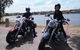 The 3 Bridges Harley Tour - See The Main Iconic Bridges Of Sydney On A Harley - thumb 8