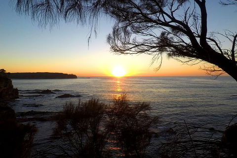 Batemans Bay Overnight Kayak Camping Tour - All Inclusive - Accommodation VIC 1