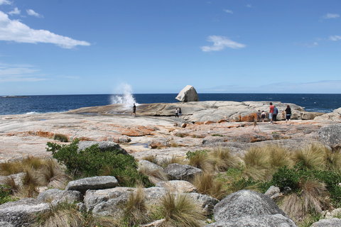 Bicheno Blowhole - Accommodation VIC 1